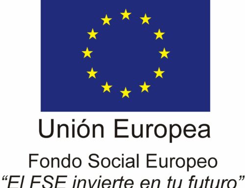 El Máster en Patrimonio Virtual recibe el reconocimiento del Fondo Social Europeo